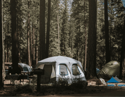 best 6-person tents